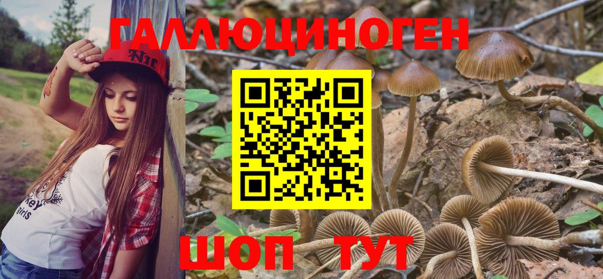 Галлюциногенные грибы MAGIC MUSHROOMS Курчатов