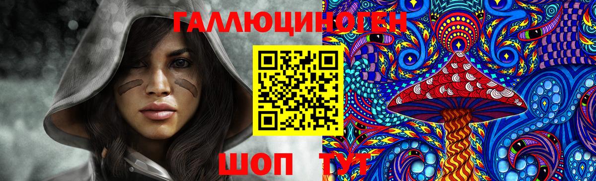 Курчатов  Псилоцибиновые грибы Psilocybe  Вход с VPN  Псилоцибиновые грибы мицелий 